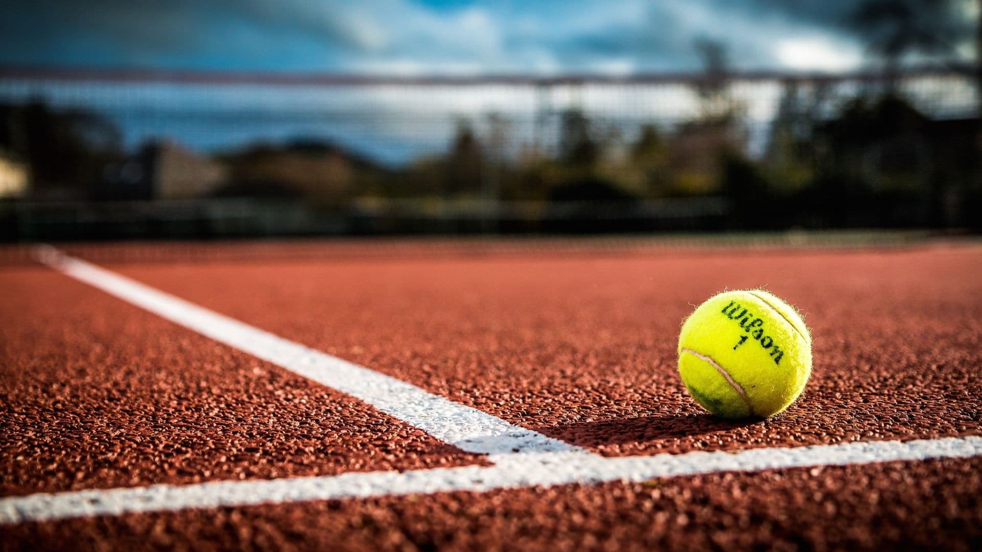 Tennis ball on a tennis court